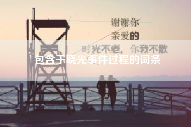 包含于晓光事件过程的词条