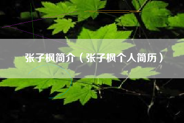 张子枫简介（张子枫个人简历）
