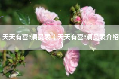 天天有喜2演员表（天天有喜2演员表介绍）