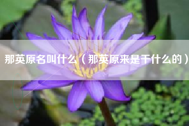 那英原名叫什么（那英原来是干什么的）