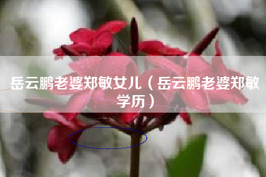 岳云鹏老婆郑敏女儿（岳云鹏老婆郑敏学历）