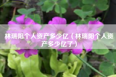 林瑞阳个人资产多少亿（林瑞阳个人资产多少亿了）