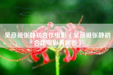 吴彦祖张静初合作电影（吴彦祖张静初合作电影有哪些）