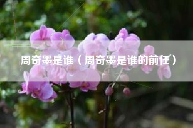 周奇墨是谁（周奇墨是谁的前任）