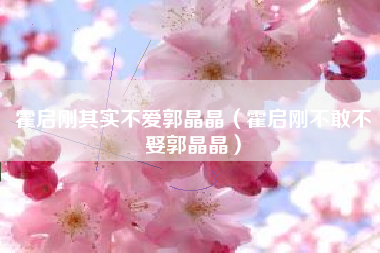 霍启刚其实不爱郭晶晶（霍启刚不敢不娶郭晶晶）