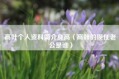 高叶个人资料简介身高（高叶的现任老公是谁）