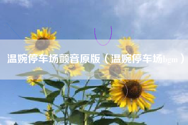 温婉停车场颤音原版（温婉停车场bgm）