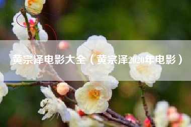 黄宗泽电影大全（黄宗泽2020年电影）