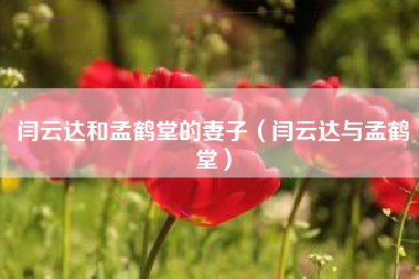 闫云达和孟鹤堂的妻子（闫云达与孟鹤堂）