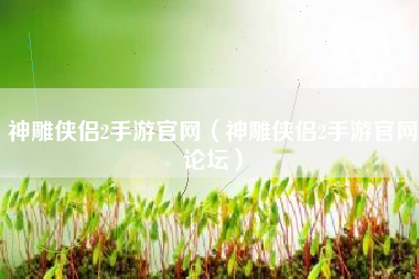 神雕侠侣2手游官网（神雕侠侣2手游官网论坛）