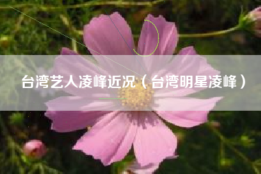 台湾艺人凌峰近况（台湾明星凌峰）