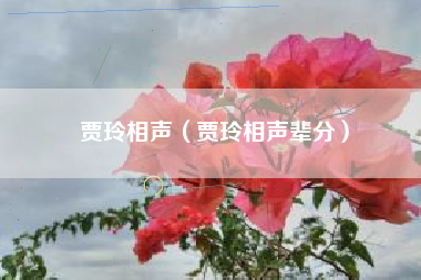 贾玲相声（贾玲相声辈分）