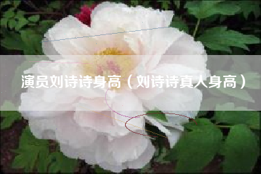 演员刘诗诗身高（刘诗诗真人身高）