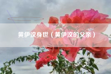 黄伊汶身世（黄伊汶的父亲）