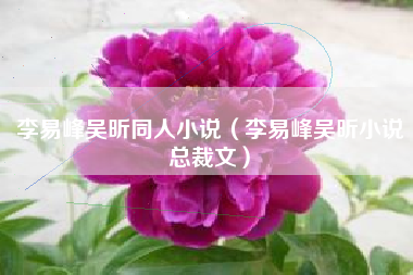 李易峰吴昕同人小说（李易峰吴昕小说总裁文）