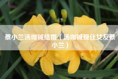 蔡小兰汤珈铖结婚（汤珈铖现任女友蔡小兰）