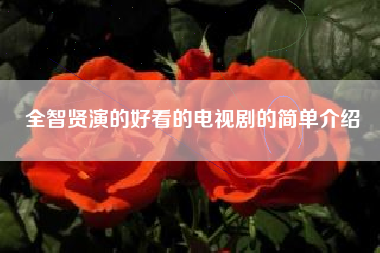 全智贤演的好看的电视剧的简单介绍