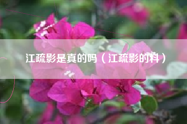 江疏影是真的吗（江疏影的料）