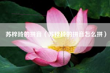 苏梓玲的拼音（苏梓玲的拼音怎么拼）