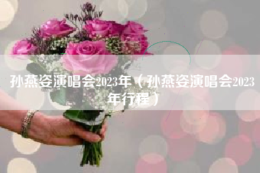 孙燕姿演唱会2023年（孙燕姿演唱会2023年行程）