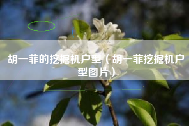 胡一菲的挖掘机户型（胡一菲挖掘机户型图片）