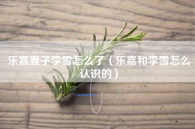 乐嘉妻子李雪怎么了（乐嘉和李雪怎么认识的）