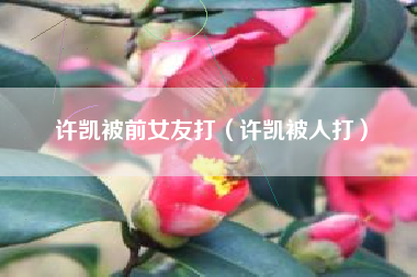 许凯被前女友打（许凯被人打）
