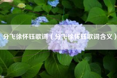 分飞徐怀钰歌词（分飞徐怀钰歌词含义）
