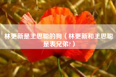 林更新是王思聪的狗（林更新和王思聪是表兄弟?）
