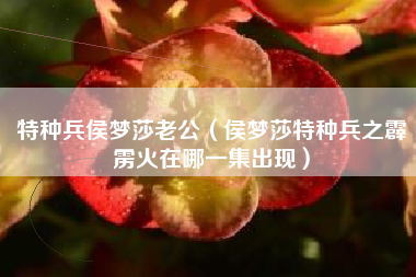特种兵侯梦莎老公（侯梦莎特种兵之霹雳火在哪一集出现）