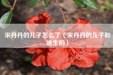 宋丹丹的儿子怎么了（宋丹丹的儿子和谁生的）