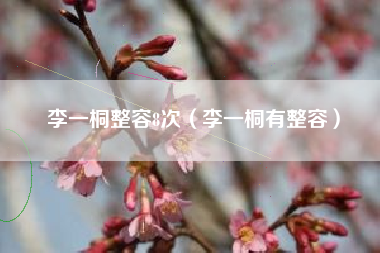 李一桐整容8次（李一桐有整容）