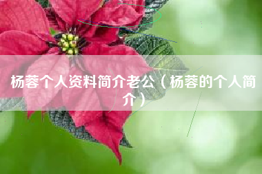 杨蓉个人资料简介老公（杨蓉的个人简介）