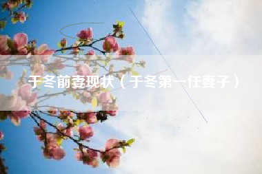 于冬前妻现状（于冬第一任妻子）