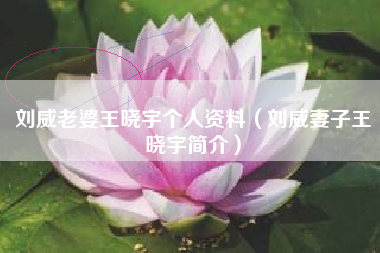刘威老婆王晓宇个人资料（刘威妻子王晓宇简介）