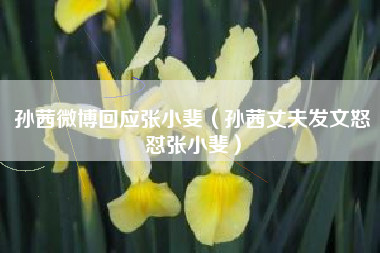 孙茜微博回应张小斐（孙茜丈夫发文怒怼张小斐）