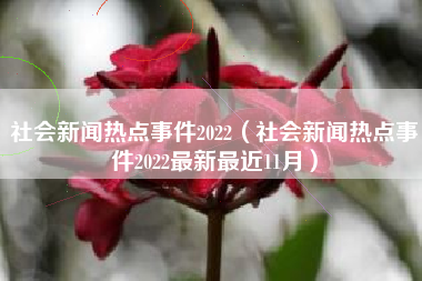 社会新闻热点事件2022（社会新闻热点事件2022最新最近11月）
