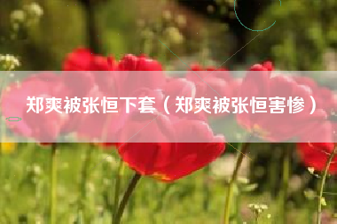 郑爽被张恒下套（郑爽被张恒害惨）