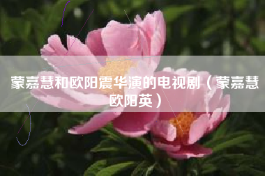 蒙嘉慧和欧阳震华演的电视剧（蒙嘉慧欧阳英）