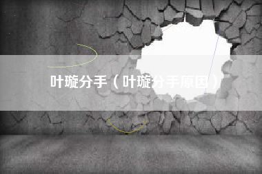 叶璇分手（叶璇分手原因）
