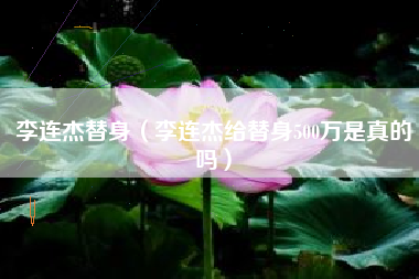 李连杰替身（李连杰给替身500万是真的吗）