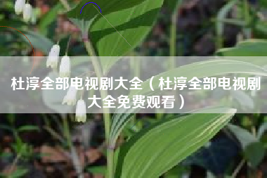 杜淳全部电视剧大全（杜淳全部电视剧大全免费观看）