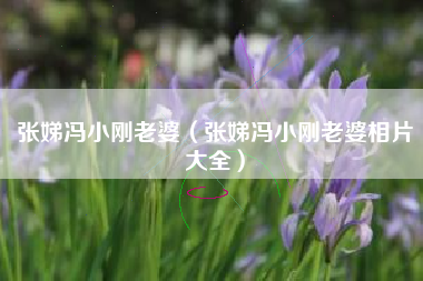 张娣冯小刚老婆（张娣冯小刚老婆相片大全）