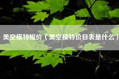 美空模特报价（美空模特价目表是什么）