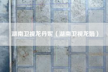 湖南卫视龙丹妮（湖南卫视龙娟）