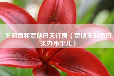 王熙凤和贾琏白天行房（贾琏王熙凤白天办事平儿）
