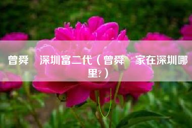 曾舜晞深圳富二代（曾舜晞家在深圳哪里?）
