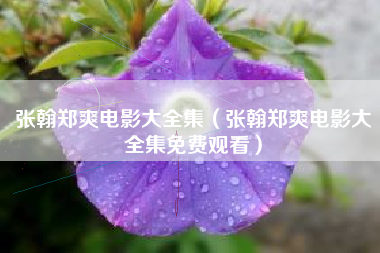 张翰郑爽电影大全集（张翰郑爽电影大全集免费观看）
