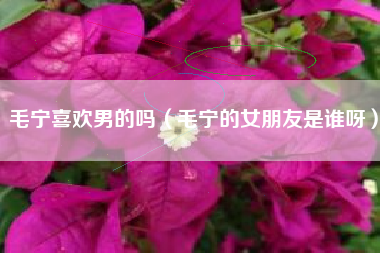 毛宁喜欢男的吗（毛宁的女朋友是谁呀）