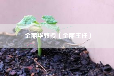 金丽华教授（金丽主任）
